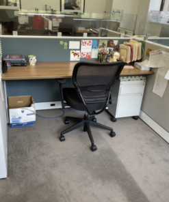 Alternative view of #407 Global Evolve Workstations